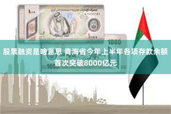 股票融资是啥意思 青海省今年上半年各项存款余额首次突破8000亿元