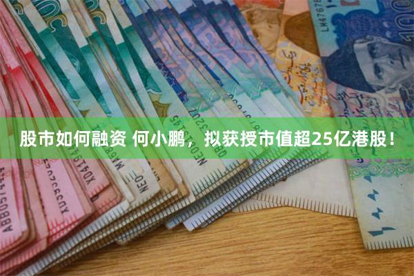 股市如何融资 何小鹏，拟获授市值超25亿港股！