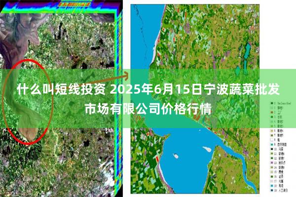 什么叫短线投资 2025年6月15日宁波蔬菜批发市场有限公司价格行情