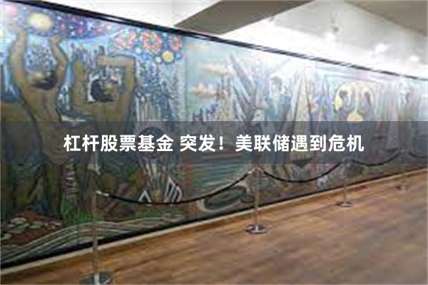 杠杆股票基金 突发！美联储遇到危机