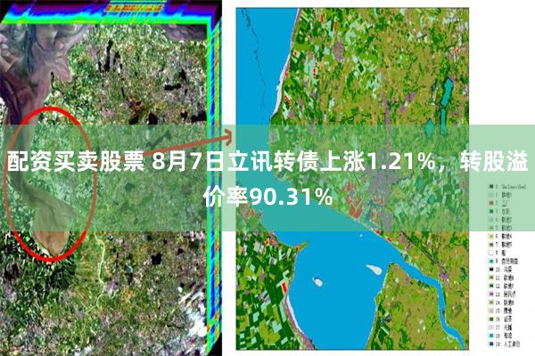 配资买卖股票 8月7日立讯转债上涨1.21%，转股溢价率90.31%