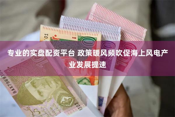 专业的实盘配资平台 政策暖风频吹促海上风电产业发展提速